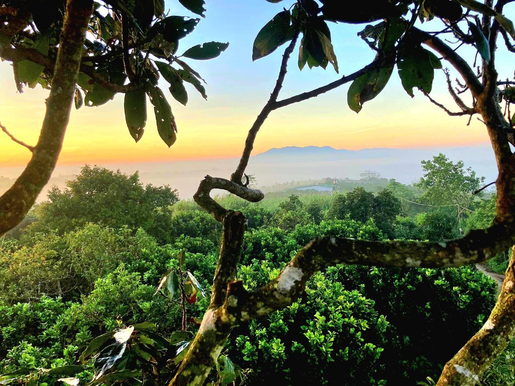 Homestay Vuon Trai Cay Nhiet Doi Vo Uu Garden Bao Loc Dış mekan fotoğraf