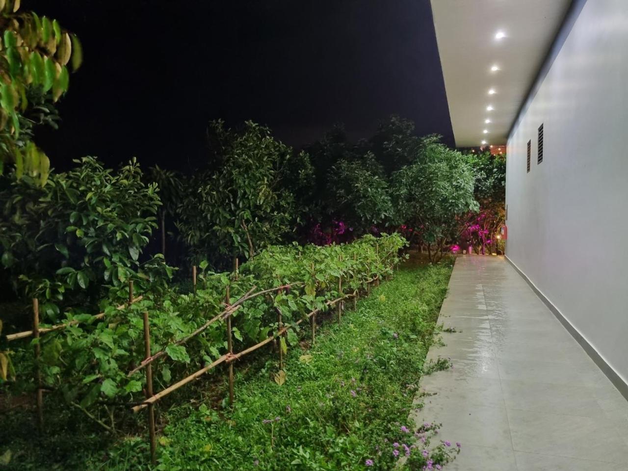 Homestay Vuon Trai Cay Nhiet Doi Vo Uu Garden Bao Loc Dış mekan fotoğraf