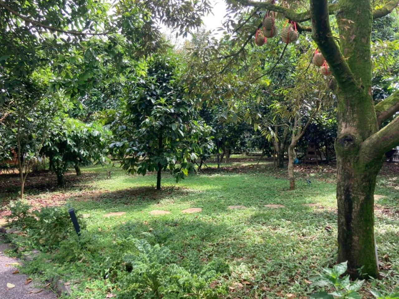 Homestay Vuon Trai Cay Nhiet Doi Vo Uu Garden Bao Loc Dış mekan fotoğraf