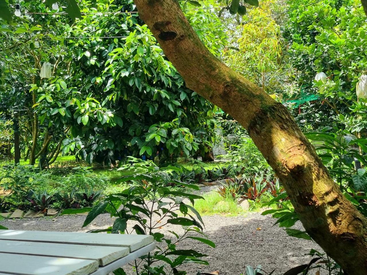 Homestay Vuon Trai Cay Nhiet Doi Vo Uu Garden Bao Loc Dış mekan fotoğraf