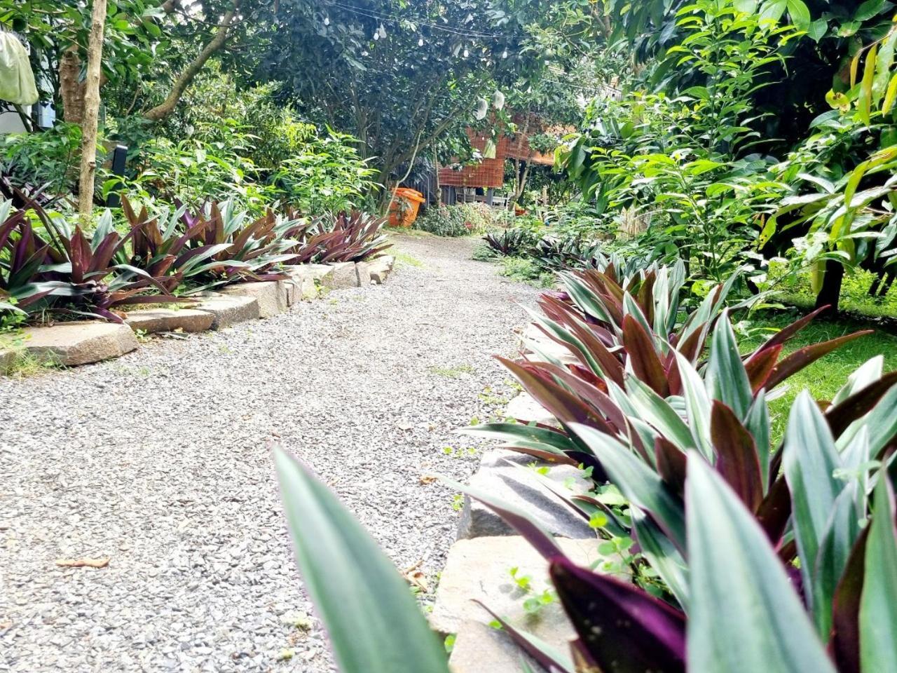 Homestay Vuon Trai Cay Nhiet Doi Vo Uu Garden Bao Loc Dış mekan fotoğraf